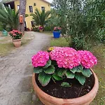 Parque de vacaciones Toscana Village Montopoli in Val dʼArno