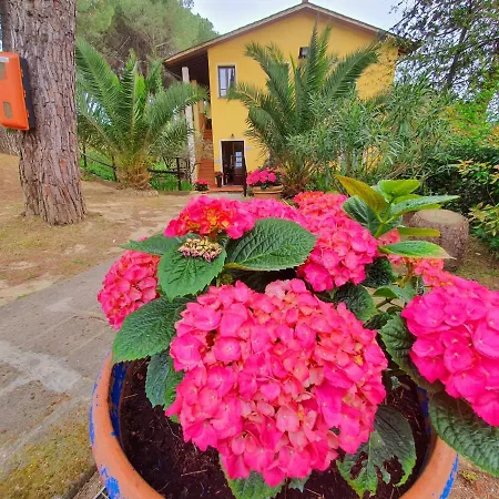 Toscana Village Vakantiepark