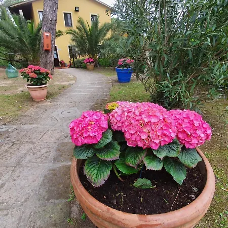 Vakantiepark Toscana Village Montopoli in Val dʼArno