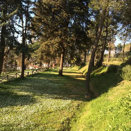 Toscana Village 3* Montopoli in Val dʼArno